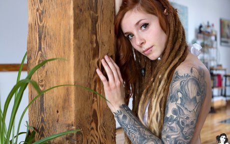 Fennek xxxモデル 画像