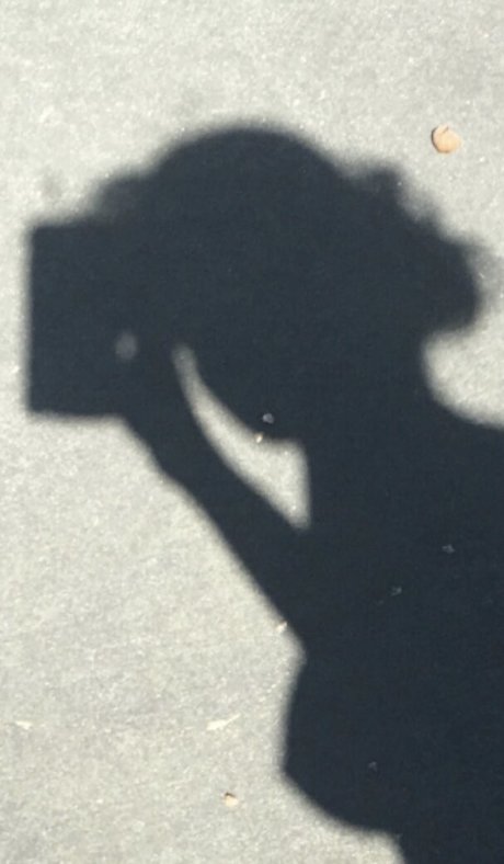 Breannacyoung 美しいモデル 写真