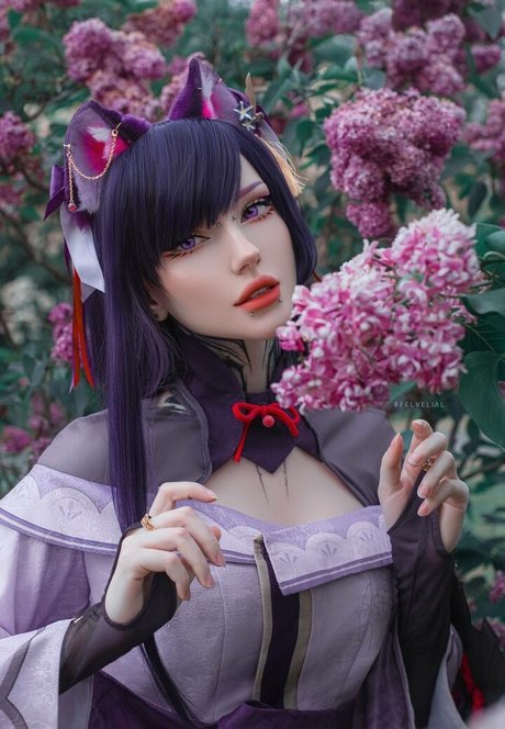 Vell Felice かわいいスター 写真