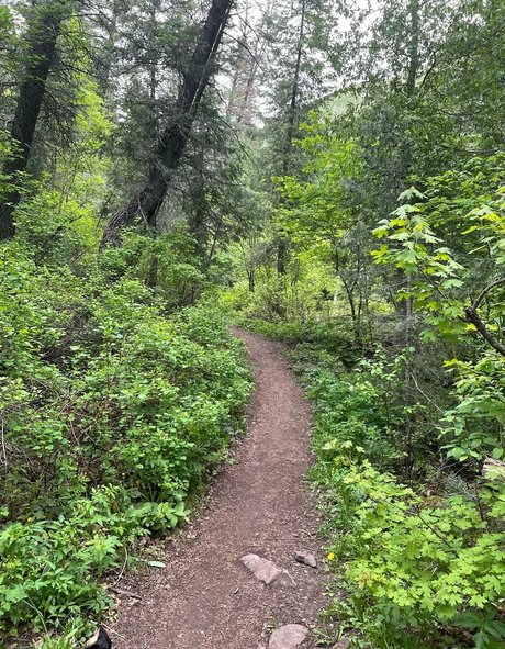 アナルファックオンリーファンズ ポルノ ギャラリー