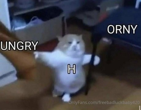 アマチュアブロンドオンリーファンズ ホットxxx 写真