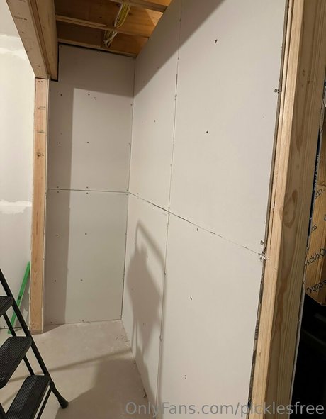 picklesfree 最高のポルノスター ギャラリー