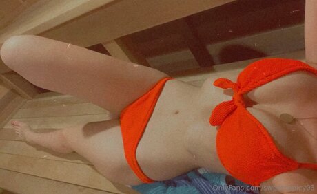 Sweetnspicy03 スター xxx アーカイブ