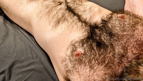 Alfredshoe 高品質スター 写真