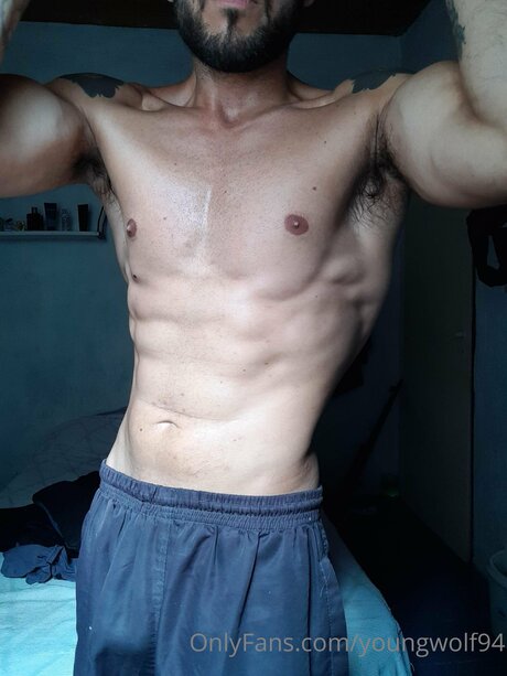 Youngwolf94 高品質スター ギャラリー