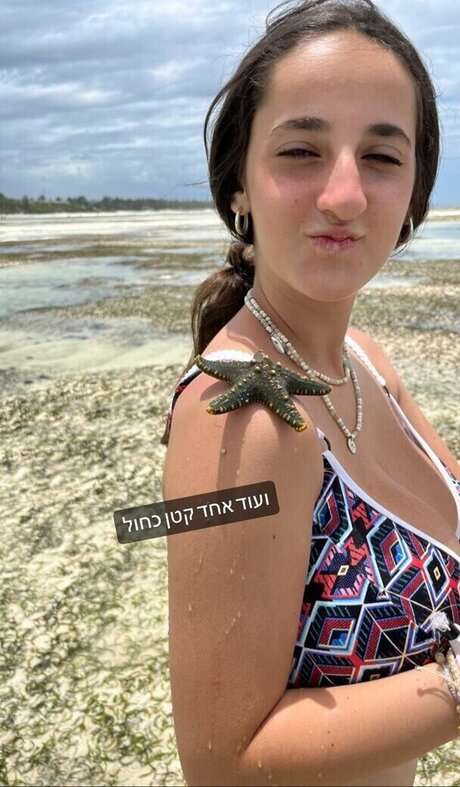 Pelegsaar 独占モデル ギャラリー