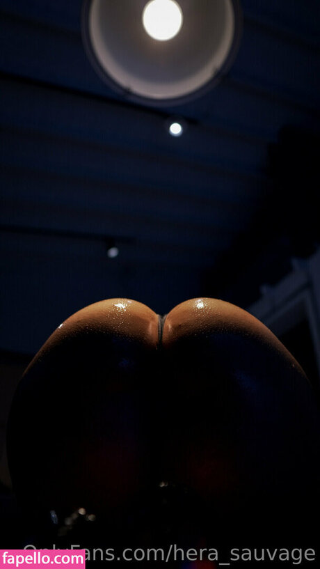 hera sauvage アートポルノスター 写真