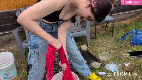 Rayactions スター ギャラリー