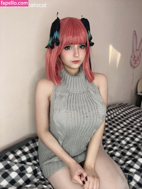 Catorisu 素敵なスター 写真