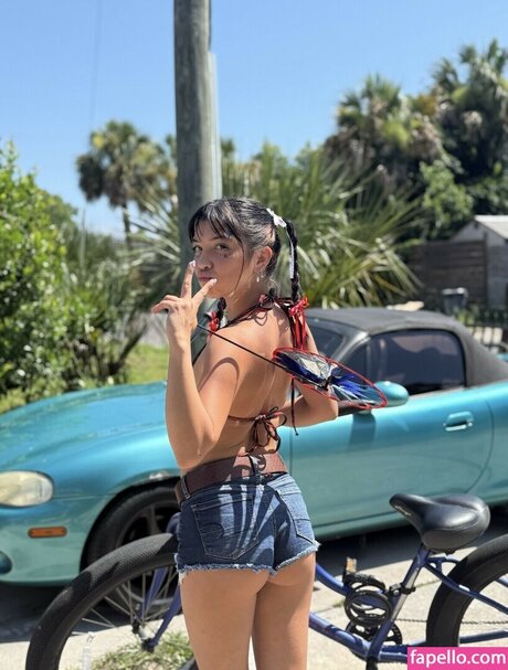 Angelina Fishtank 限定スター 写真