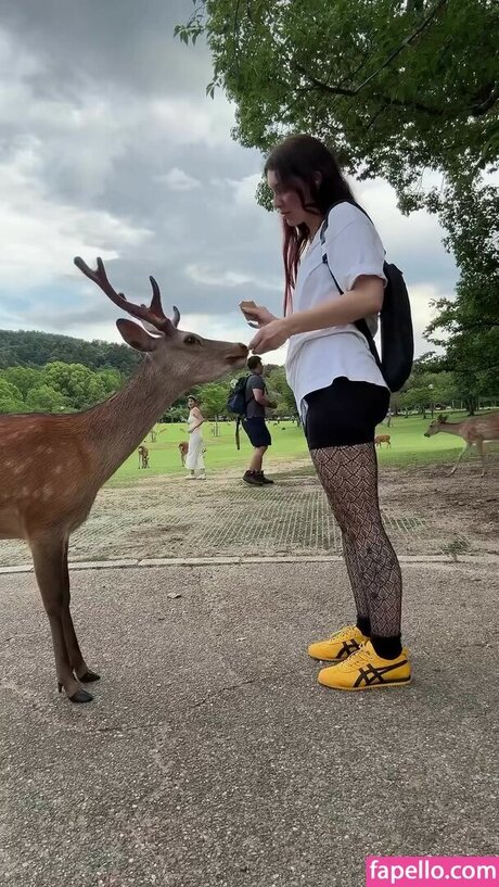 HeyMissTeacher トップスター 画像