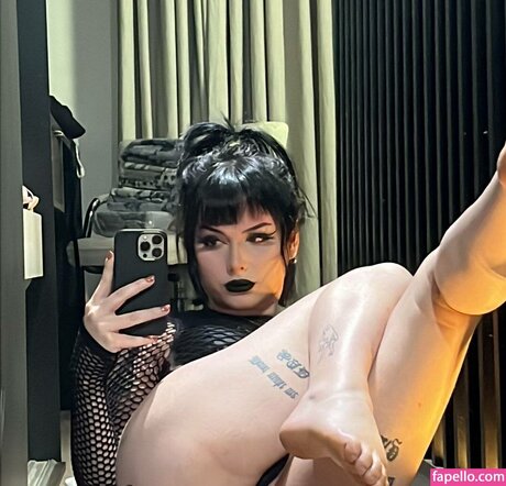 Robbfm 独占ポルノスター 写真