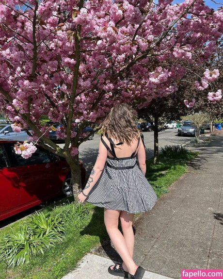 弁護士オンリーファンズ アートxxx 写真