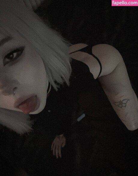 Paradoxy アートスター ギャラリー