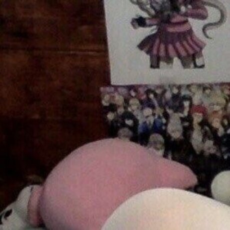 weepysheepys 最高のスター 写真