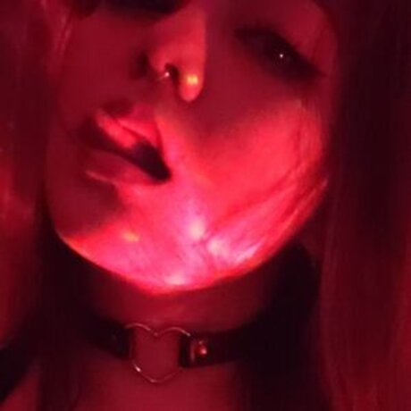 Eight Bit セクシーなスター 写真