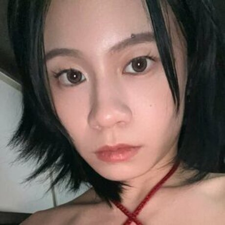 Kongirl Xd プロフィール写真