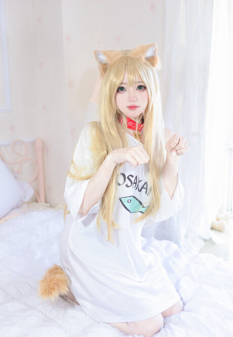 Yaokoututu プロフィール写真