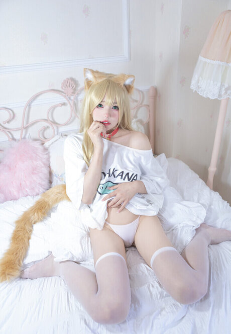 Yaokoututu モデル ギャラリー