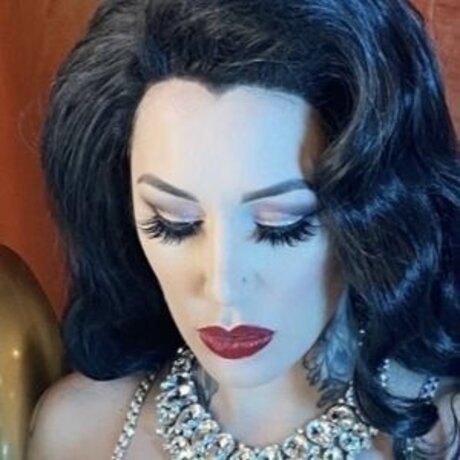 Cervena Fox アートスター 画像