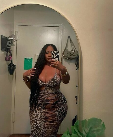 _Trillscott ホットスター 画像