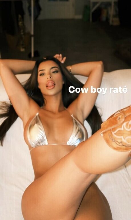 Ziyartist アートスター ギャラリー