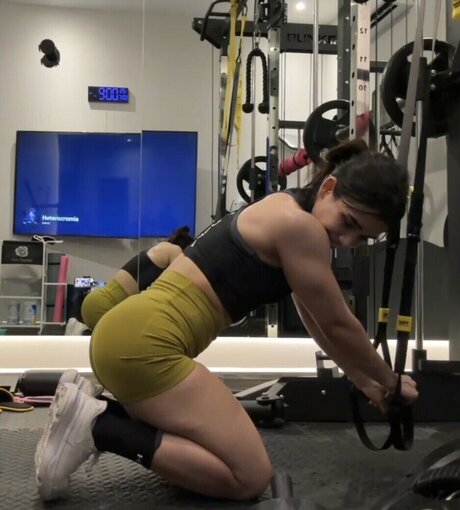 Alanalarana アートポルノスター 画像