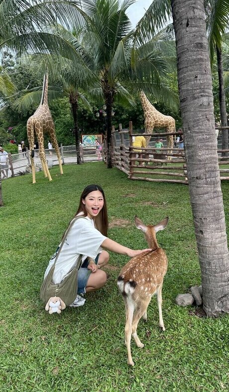 dalcompeach ポルノ女優 写真