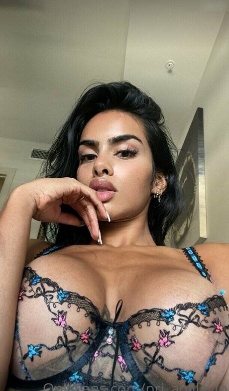 エクストリームオンリーファン 美しいxxx 画像