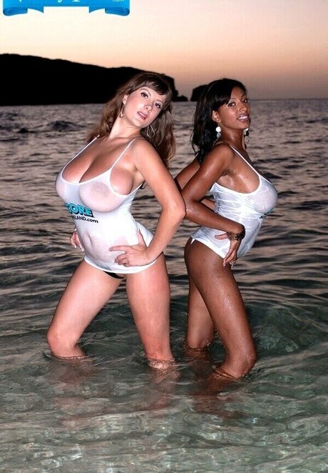 Lil Chica ポルノスター xxx アーカイブ