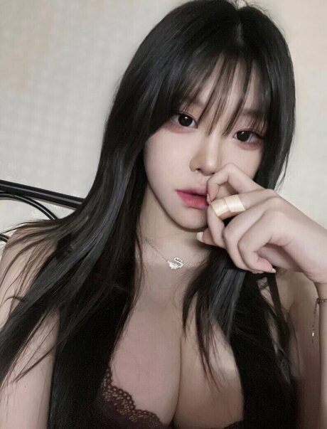 Foamharin 限定スター 画像