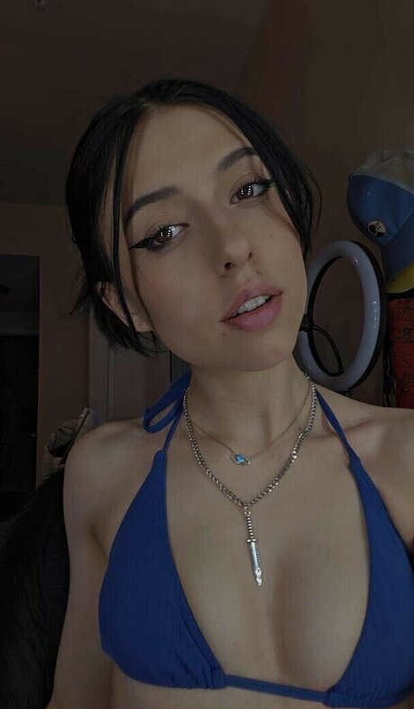 Brady lynn アートスター 画像