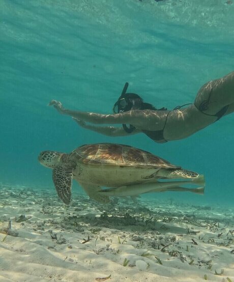 Nina Janova ホット女優 写真