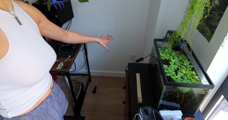 予想外のファンのみ 美しいヌード 写真