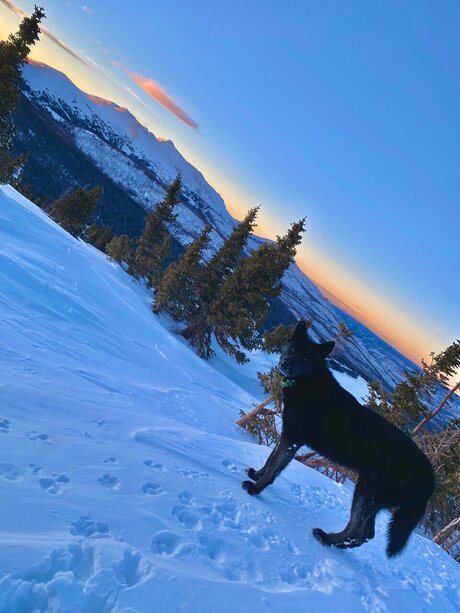 Thomas D 完璧なモデル 画像