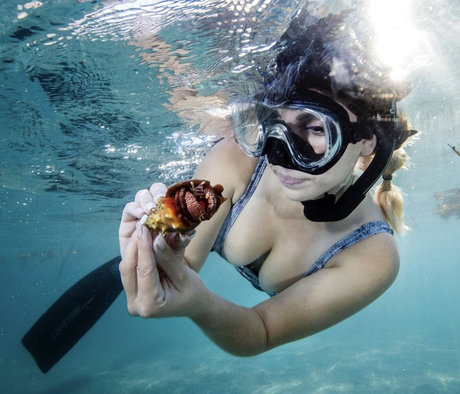 Gabby Nikolle 無料女優 写真