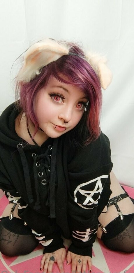 littlescarefoxfree 独占ポルノスター 画像