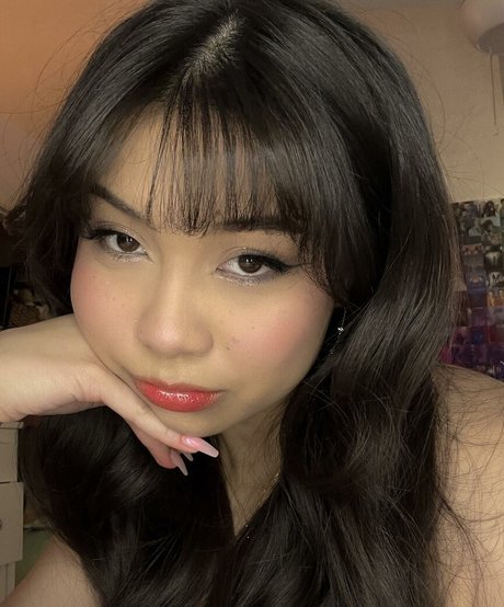 Trin Lovell HDモデル 画像