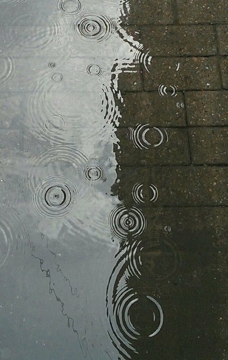 technoprincesss ヌードモデル 画像