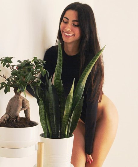 Lucrelisa アダルトスター 写真