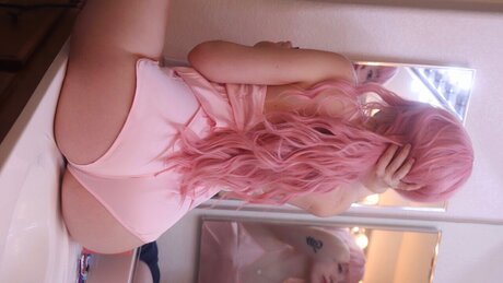 Journee トップスター 写真