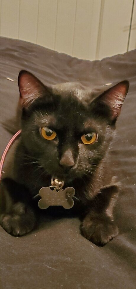 巨大ディルドオンリーファンズ 無料 アーカイブ