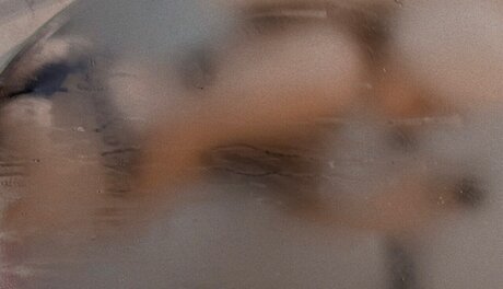 Pieelcaneelaa HDモデル 写真