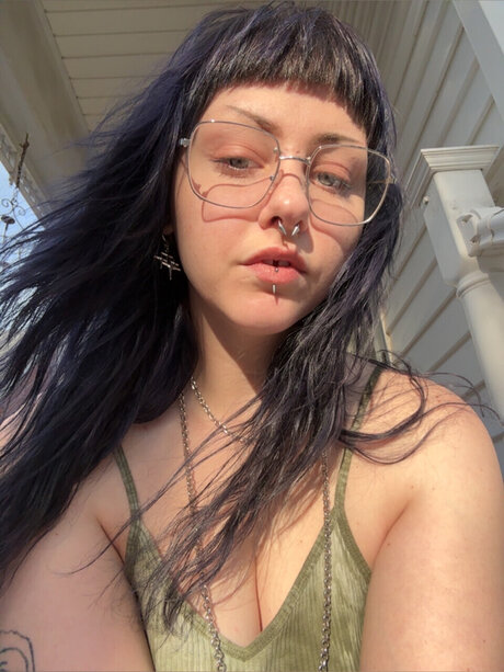 Abel 高品質スター ギャラリー