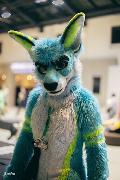 TechRoo and Zoomy 最高のモデル ギャラリー