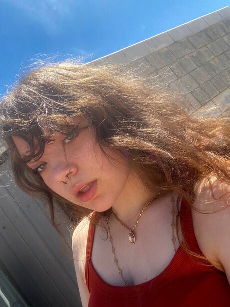 Laila Quinn 限定スター 写真