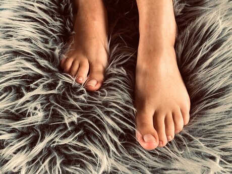 Sugar19 無料のスター 画像