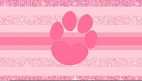 _Faye_ 無料スター ギャラリー