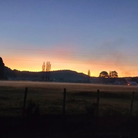 Tavita かわいいモデル 写真