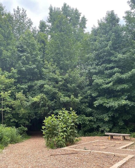 Ollie Morgan xxxスター 画像